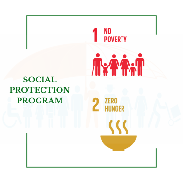 SOCIAL PROTECTION PROGRAM DESIGN